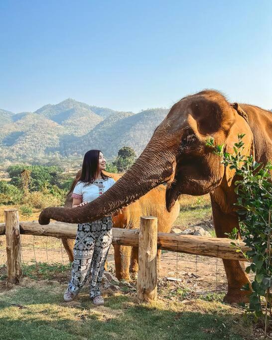 Elephantpoolvilla Maetang Chiangmai Ban Muang Kut Dış mekan fotoğraf